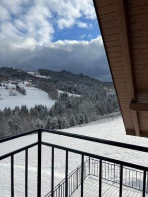 Apartamenty Spacerowa 33